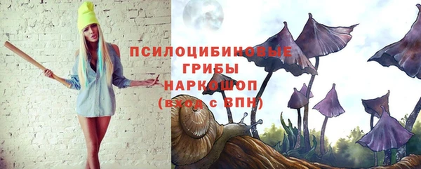 apvp Кинешма