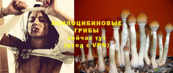 COCAINE Киреевск